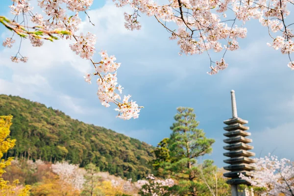 Kiyomizu-dera tempel met kersenbloesems in het voorjaar in Kyoto, Japan — Stockfoto