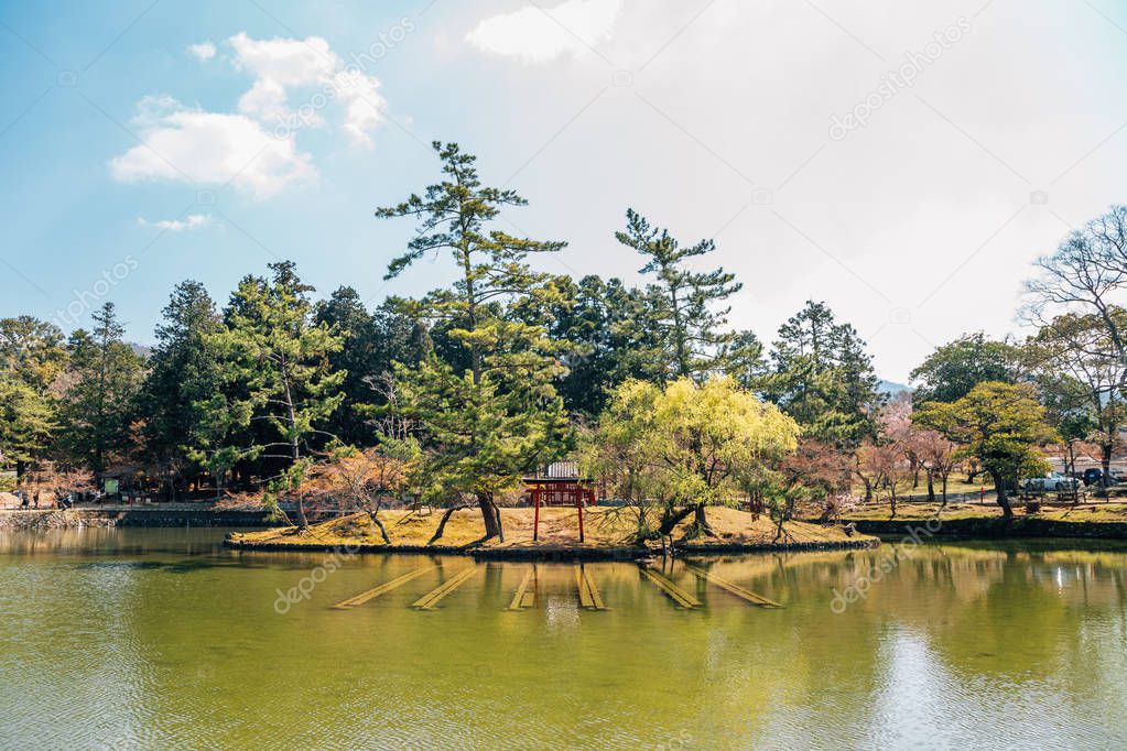 Torii gate on pond at Todai-ji temple in Nara, Japan