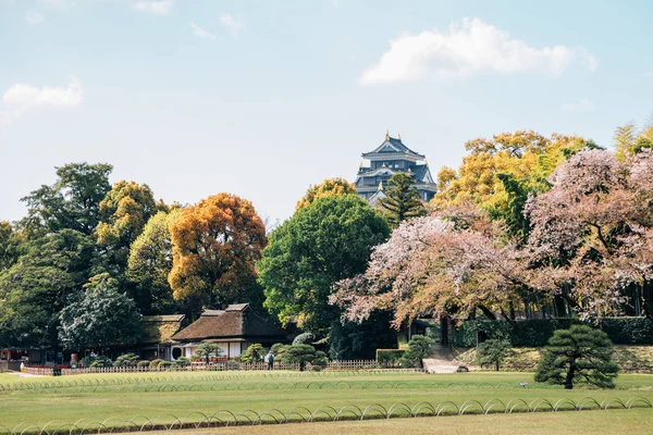 Okayama castelo e jardim Korakuen na primavera no Japão — Fotografia de Stock