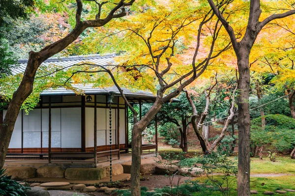 Jardins Kyu-Furukawa no outono em Tóquio, Japão — Fotografia de Stock