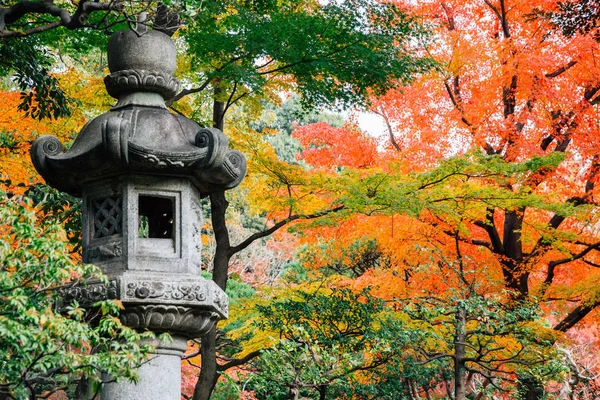 Japońska tradycyjna kamienna Latarnia z jesiennym klonem w ogrodach Kyu-Furukawa w Tokio, Japonia — Zdjęcie stockowe