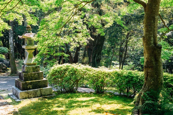 Godaisan Góra Chikurin-ji Rozciągacz, Shikoku pielgrzymka w Kochi, Shikoku, Japonia — Zdjęcie stockowe