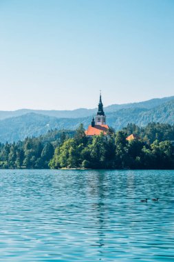 Bled Gölü, Slovenya 'daki Maria' nın hac kilisesi