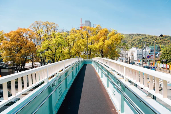 Paso elevado peatonal y ciudad en Tokushima, Shikoku, Japón — Foto de Stock