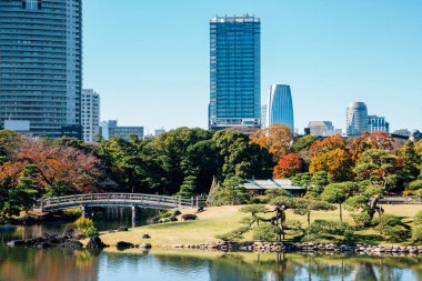 Hamarikyu Bahçeleri ve Tokyo, Japonya sonbaharda modern binalar