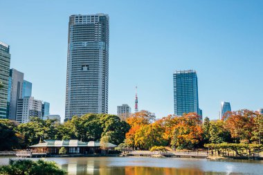 Hamarikyu Bahçeleri ve Tokyo, Japonya sonbaharda modern binalar