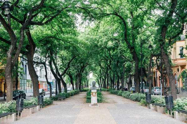 Subotica, Serbia - 18 luglio 2019: Una statua gimnazista - Kosztolanyi Dezso Szobra e piazza della foresta — Foto Stock