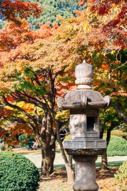 Tokyo Shinjuku Gyoen parkta sonbahar akçaağaç ağaçları ile Geleneksel taş fener, Japonya