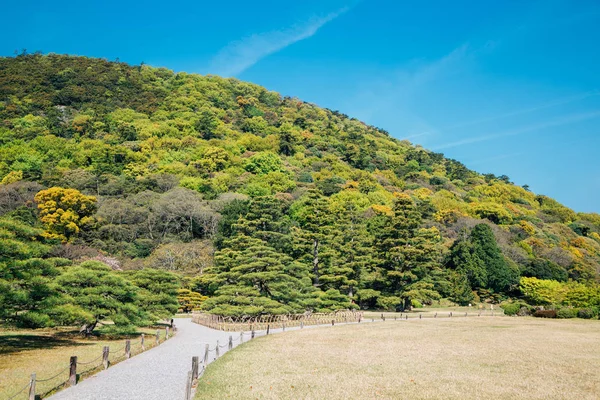 Jardín tradicional japonés antiguo — Foto de Stock