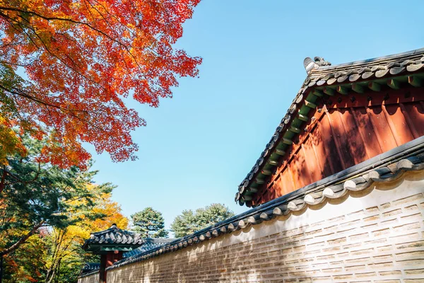 Jongmyo heiligdom met autumn maple in Seoul, Korea — Stockfoto