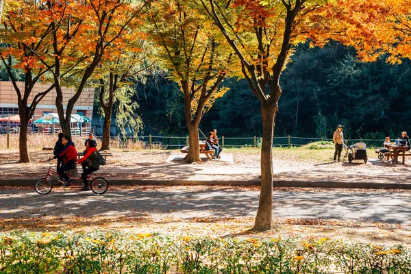 Incheon, Korea - 30. Oktober 2016: incheon grand park im Herbst — Stockfoto