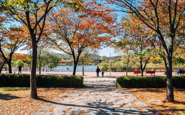 Herbst-Ahorn und See im incheon grand park in Korea — Stockfoto