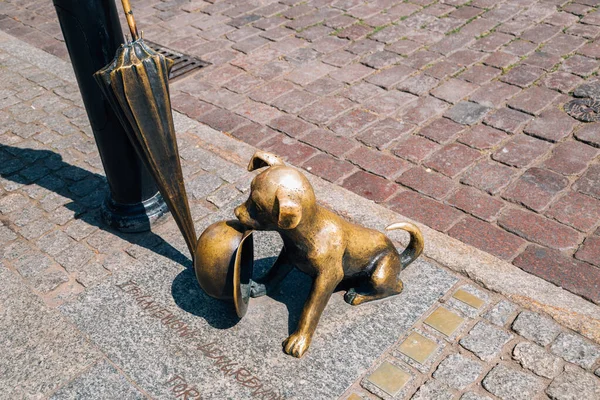 Torun, Polonia - 11 giugno 2019: Pomnik Filusia w Toruniu monumento al centro storico — Foto Stock