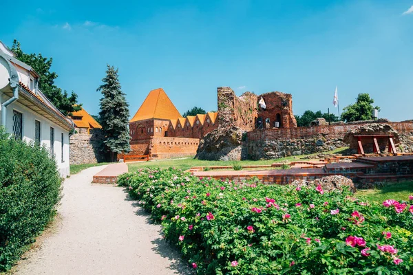 Teutoniska slottsruiner i Torun, Polen — Stockfoto