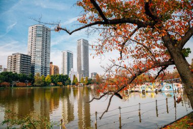 Ueno Park Shinobazu göleti ve modern binalar sonbaharda Tokyo, Japonya 'da