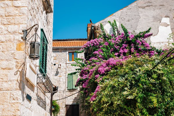 Edificios históricos con flores en Split, Croacia — Foto de Stock
