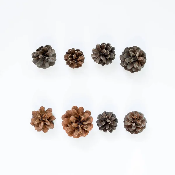 Pine cones on white background. Autumn concept — Stock Photo, Image