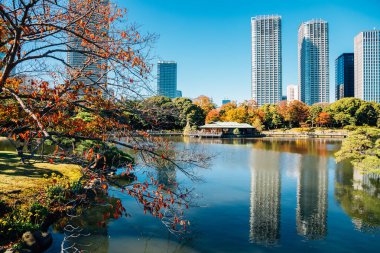 Hamarikyu Bahçeleri, Gölet ve modern binalar Sonbaharda Tokyo, Japonya 'da