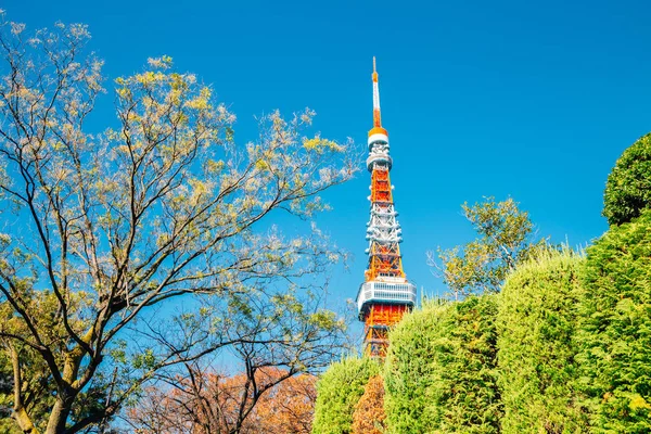 Tokyo tower with green leaf in Japan