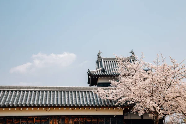 Koriyama Kastély Park Cseresznyevirágzással Nara Japán — Stock Fotó