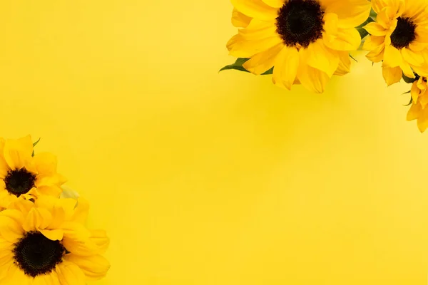 Gelbe Sonnenblumen Auf Gelbem Hintergrund Florale Komposition Draufsicht Kopierraum — Stockfoto