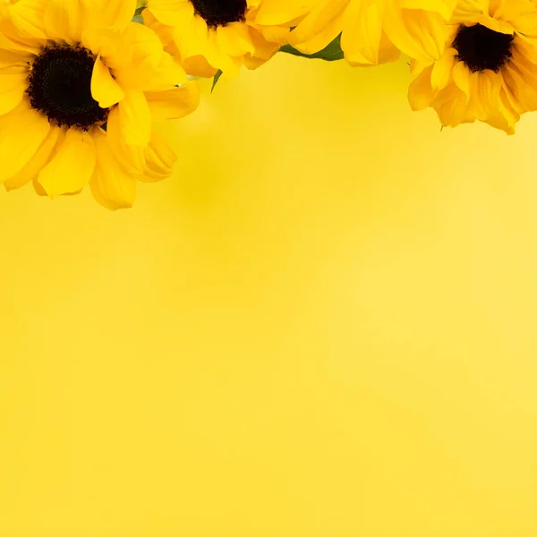 Girasoles Amarillos Sobre Fondo Amarillo Composición Floral Vista Superior Espacio — Foto de Stock