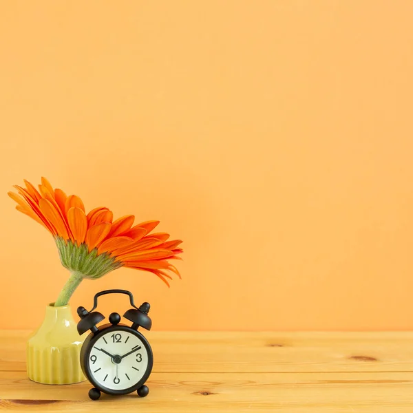 Relógio Despertador Com Flor Gerbera Mesa Madeira Com Fundo Laranja — Fotografia de Stock