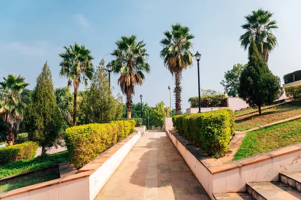Hindistan, Udaipur 'daki Rajiv Gandhi Parkı' nda palmiye ağaçları yolu.