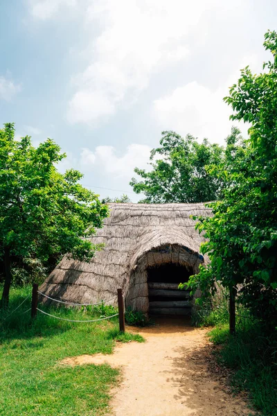 Casa Tradicional Cabana Palha Parque Ganghwa Dolmen Patrimônio Mundial Unesco — Fotografia de Stock