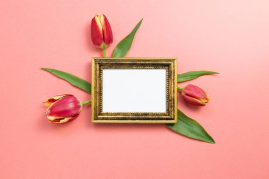 Mercan kırmızısı zemin üzerinde kırmızı lale çiçekleri olan boş bir fotoğraf çerçevesi. Çiçek kompozisyonu, düz konum, üst görünüm, kopyalama alanı