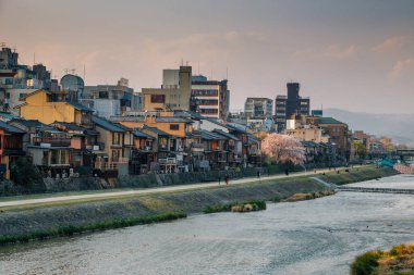 Gion Pontocho eski restoranlar, Kyoto, Japonya 'da Kamo nehri olan geleneksel Japon evleri.