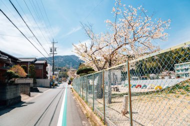 Japonya 'nın Mie şehrinde ilkbaharda Japon kırsal kesiminde bir ara sokak.