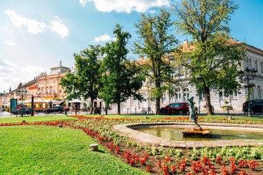 Dunavska Caddesi ve Sırbistan 'ın Novi Sad kentindeki Tuna Parkı