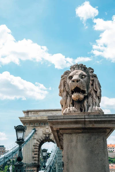 Puente Cadena Sobre Río Danubio Budapest Hungría — Foto de Stock