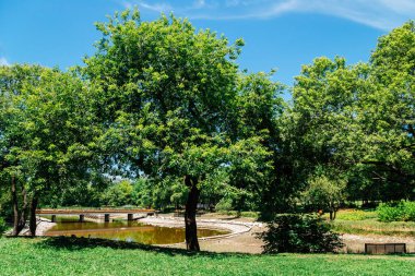 Yazın Kore 'de Seul Orman Parkı