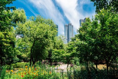 Kore 'de modern gökdelenleri olan Seul orman parkı.