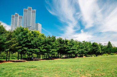 Kore 'de modern gökdelenleri olan Seul orman parkı.