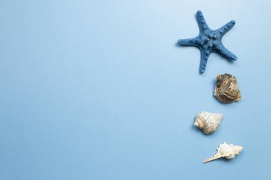 Mavi arka planda deniz yıldızı ve deniz yıldızı. Yaz deniz dekorasyonu. düz alan, üst görünüm, kopyala boşluk