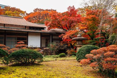 Japonya, Tokyo 'daki Koishikawa Korakuen Bahçesi' nde sonbahar akçaağaçlı geleneksel Japon evi.