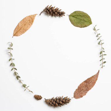 Beyaz arka planda sonbahar kuru yaprakları. düz alan, üst görünüm, kopyala boşluk