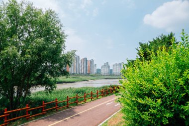 Ansan Reed Marsh Parkı ve Ansan, Kore 'deki apartmanlar
