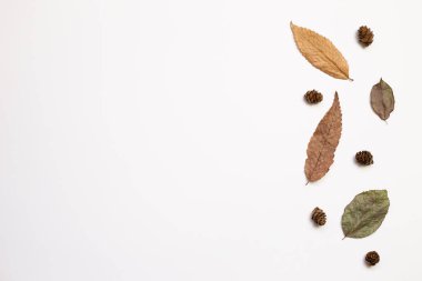 Beyaz arka planda sonbahar kuru yaprakları. düz alan, üst görünüm, kopyala boşluk