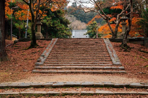 Nara Park Jesienne Dekoracje Nara Japonia — Zdjęcie stockowe