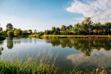 Pyeongtaek, Kore 'deki Baramsae Village Piknik Bahçesi' nde yeşil ağaçlı bir gölet.