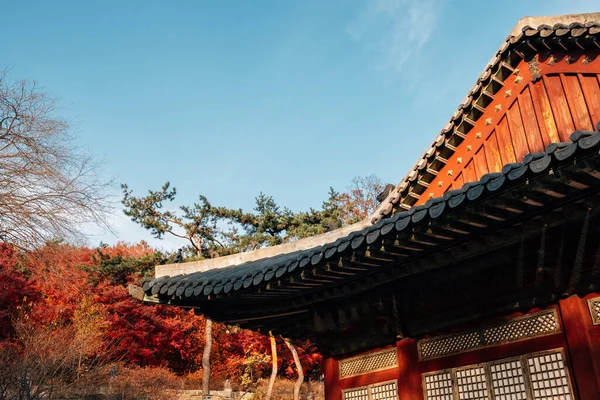 Changgyeonggung Palace Met Herfst Esdoorn Seoul Korea — Stockfoto