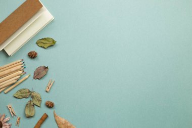Sonbahar konsepti. Not defteri ve yeşil arka planda kuru yaprakları olan tahta renkli kalemler. Düz konum, üst görünüm, kopyalama alanı. Çalışma ve öğrenim yeri