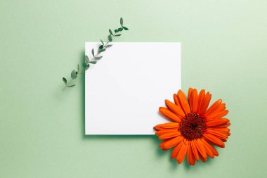 Beyaz not defteri, turuncu gerbera papatya çiçeği ve yeşil arka planda okaliptüs yaprağı olan boş bir kağıt. düz alan, üst görünüm, kopyala boşluk