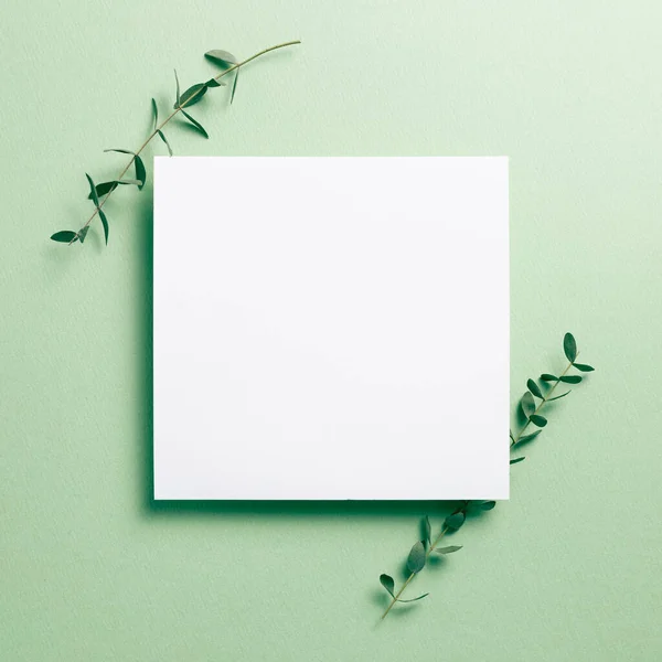 White memo pad, blank paper with eucalyptus leaves on green background. top view, copy space