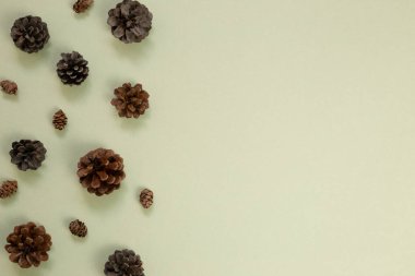 Haki yeşil arka planda sonbahar kuru kozalakları. düz alan, üst görünüm, kopyala boşluk