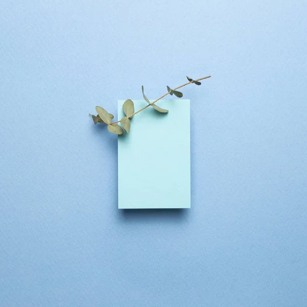 Blue memo pad, blank paper with eucalyptus leaves on blue background. top view, copy space